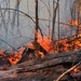 Base firefighting officials: largest fire in 25 years