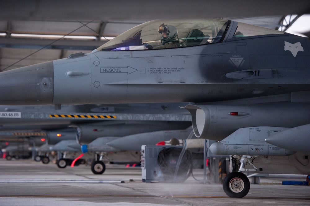 169th Fighter Wing readiness exercise flight line pps