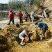 Whale skeleton excavation