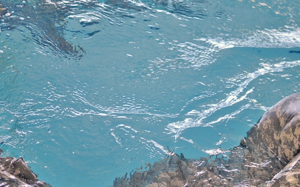 Water Survival Training: A tool to stay afloat