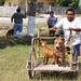 New Horizons provides veterinary care to animals of Belize