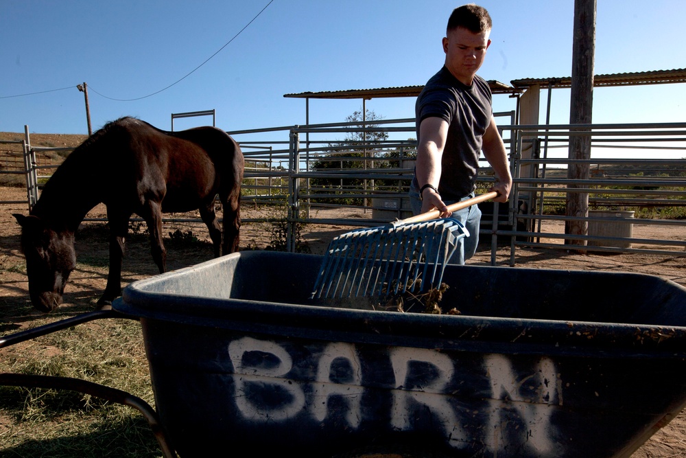 Marines Stepp up at Stables