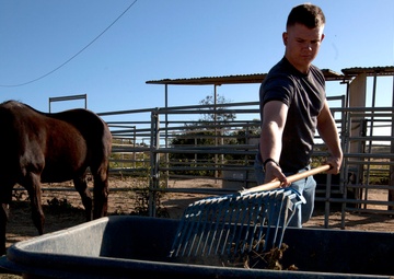 Marines Stepp up at Stables