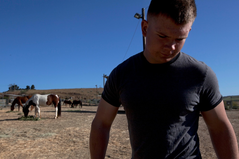 Marines Stepp up at Stables