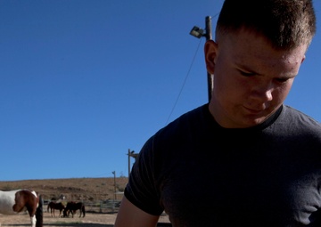 Marines Stepp up at Stables