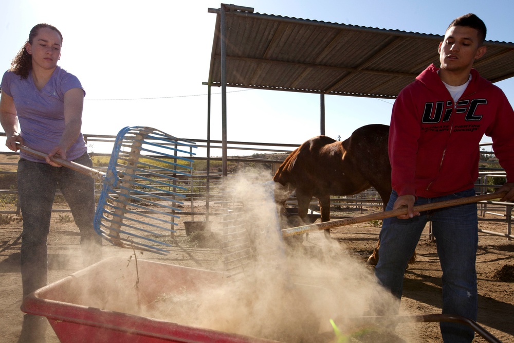 Marines Stepp up at Stables
