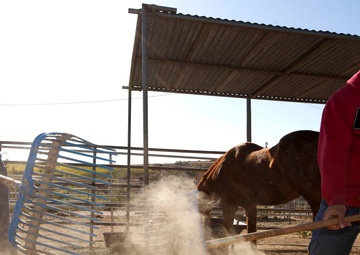 Marines Stepp up at Stables