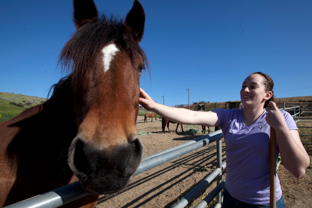 Marines Stepp up at Stables