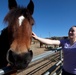 Marines Stepp up at Stables
