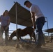 Marines Stepp up at Stables