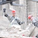 Vigilant Guard tests Homeland Response Force mission