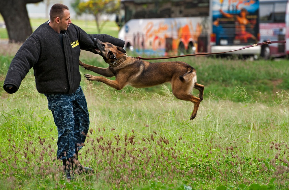 Controlled aggression demonstration