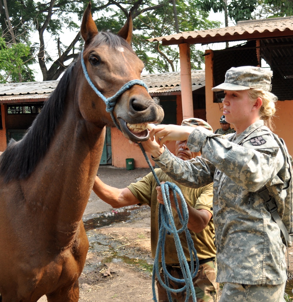 US Army veterinarians assist Salvadoran Cavalry