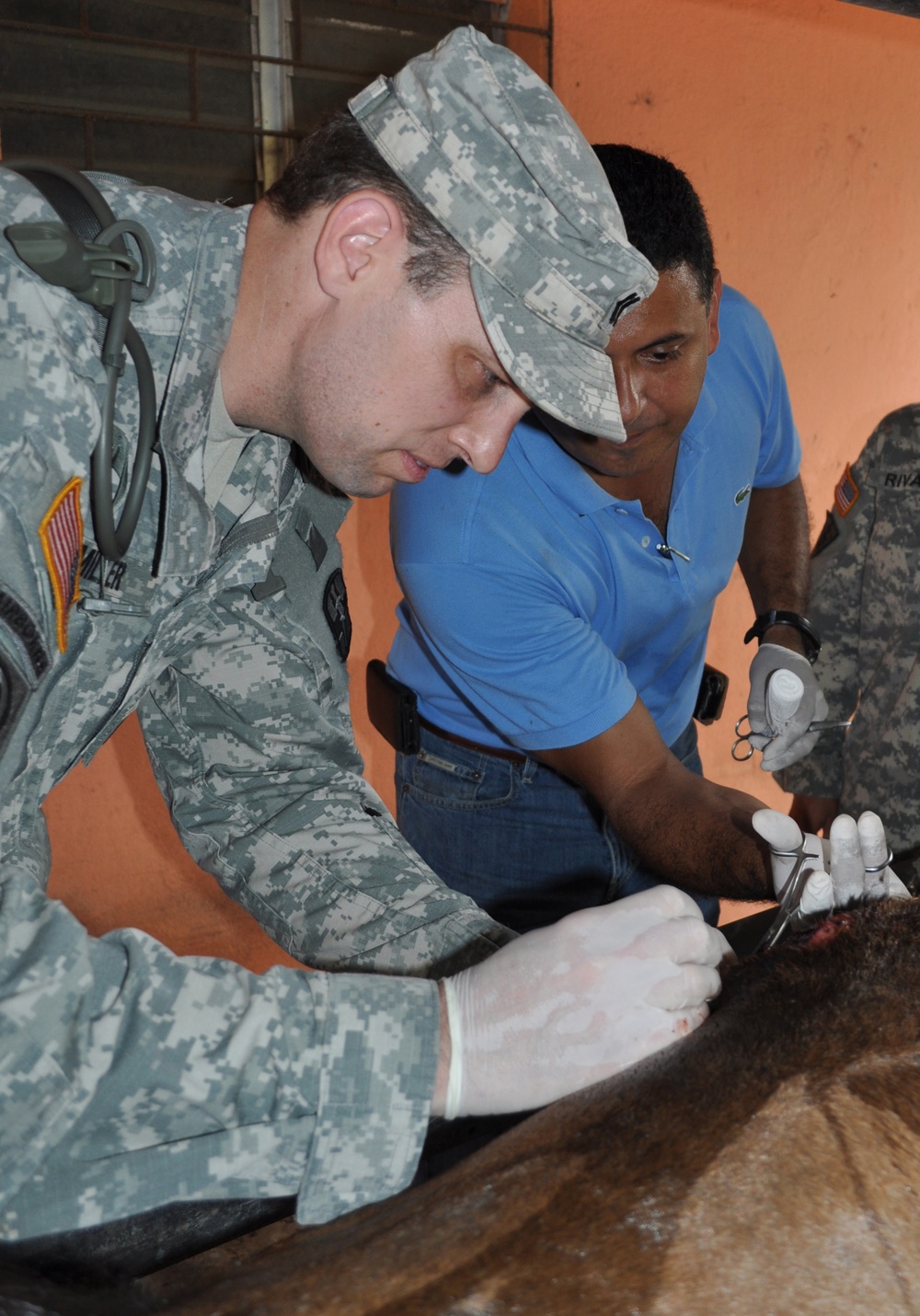 US Army veterinarians assist Salvadoran Cavalry