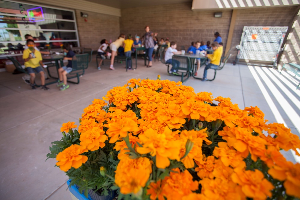 Yuma Kids Show Earth Day Appreciation