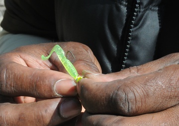 Changing a lure