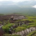 Sailors climb Mount Fuji