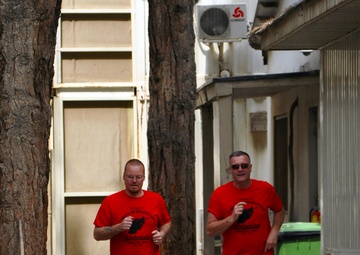 Runners for 'The Shin'