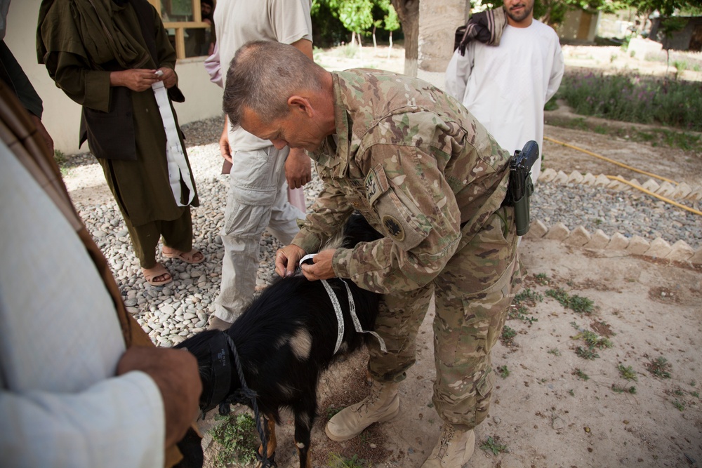 Afghans Receive Veterinary Training