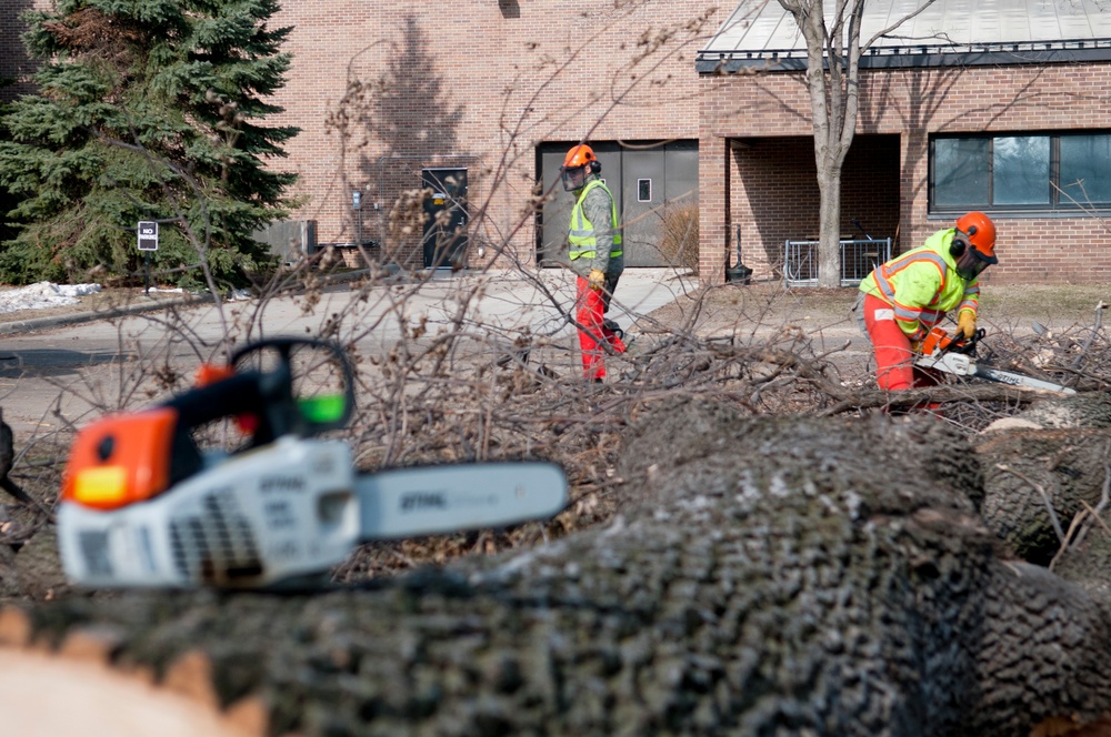 CE tree removal