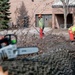 CE tree removal
