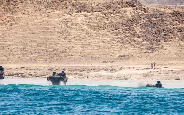 The image shows military amphibious assault vehicles emerging from the water onto a desert shoreline, consistent with an amphibious landing exercise or operation. Three tracked armored vehicles are visible at the water's edge, with several personnel standing on the beach in the background. The terrain features arid, rocky desert hills behind the landing zone.