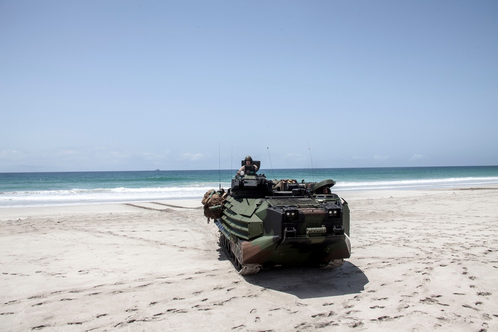 Amphibious Assault Exercise