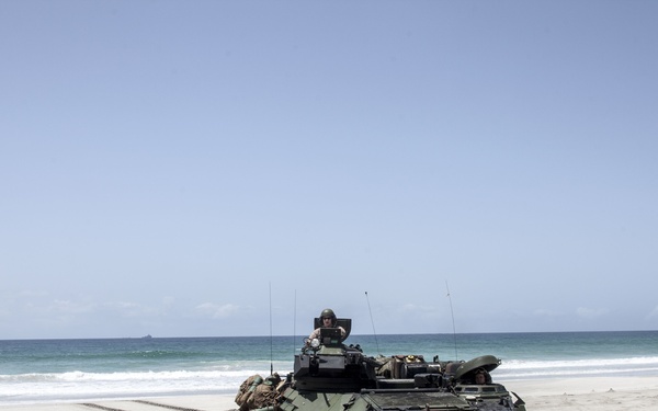 An amphibious assault vehicle (AAV) is positioned on a sandy beach facing the ocean, having recently emerged from the water as evidenced by track marks in the sand. At least one military personnel is visible in the open hatch on top of the vehicle. A naval vessel is faintly visible on the horizon, suggesting this is part of an amphibious landing exercise or operation.
