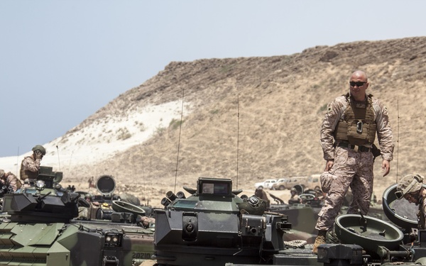 The image shows U.S. Marine Corps personnel operating Amphibious Assault Vehicles (AAVs) on a sandy beach near coastal terrain. Multiple Marines in desert MARPAT camouflage uniforms are positioned on and around the vehicles, suggesting a post-amphibious landing operation or training exercise. The foreground vehicle is clearly marked 'USMC 522935' and '20209'.