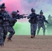 Guardsmen demonstrate skills and capabilities