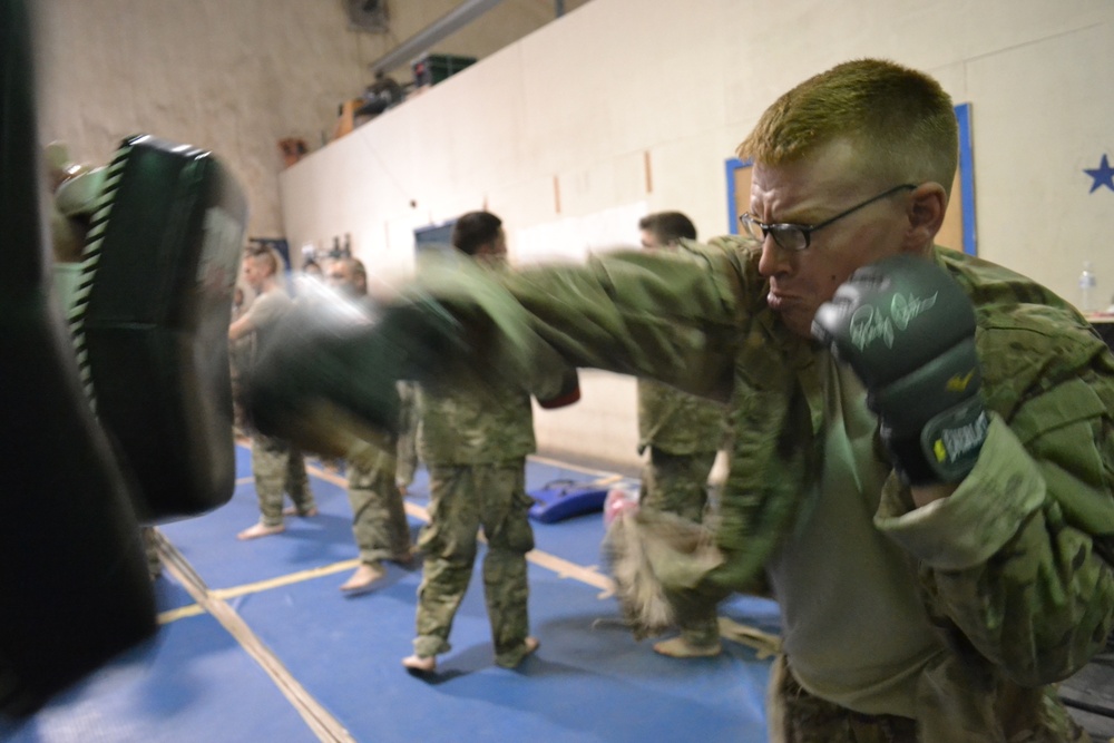 Providers punch into Combatives Level II training