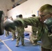 Providers punch into Combatives Level II training