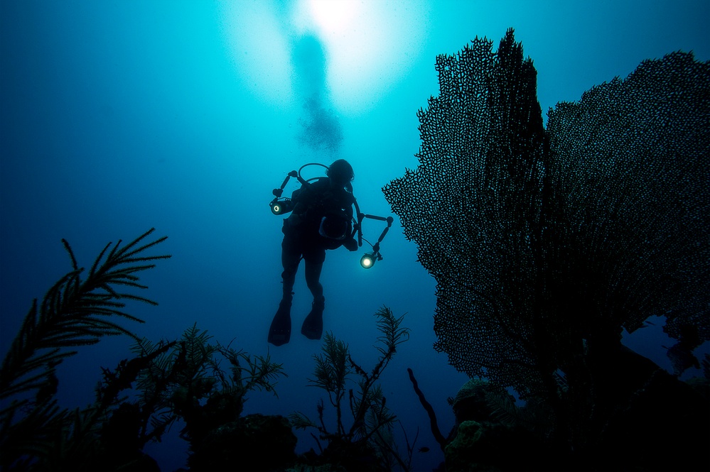 Underwater Photo Team