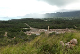 Training combat hunters