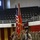 Humble hero: Alabama Marine receives Silver Star Medal
