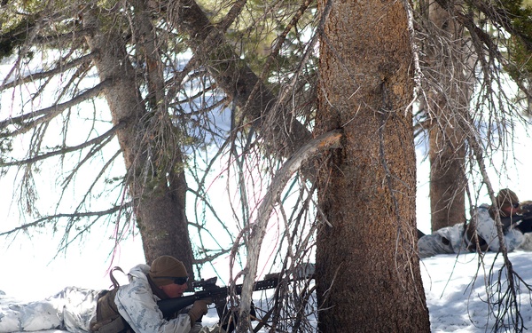 Battle on a windswept hill: The ‘Island Warriors’ chill and conquer