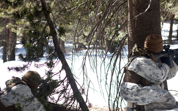 Battle on a windswept hill: The ‘Island Warriors’ chill and conquer