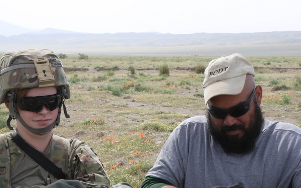 OPN Jersey Aberdeen II