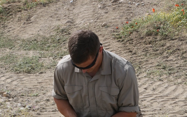 OPN Jersey Aberdeen II