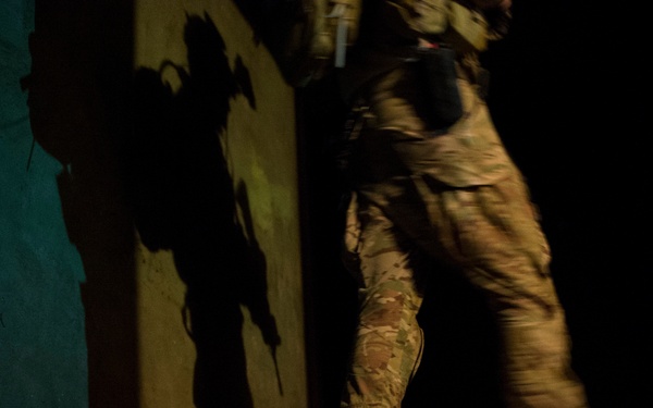 Emerald Warrior 2013