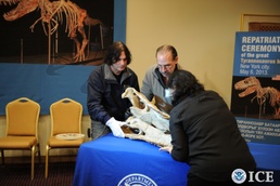 HSI returns dinosaur bones to Mongolia