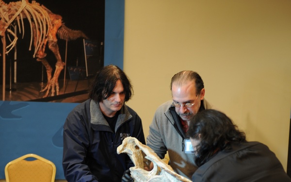 HSI returns dinosaur bones to Mongolia