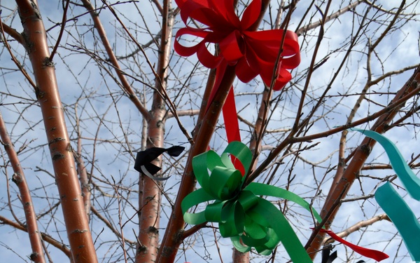 Crime Victims Rights Week