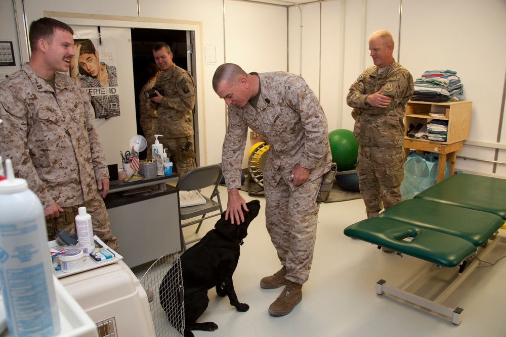 Sgt. Maj. Battaglia visits Marines and Sailors of Regional Command (Southwest)