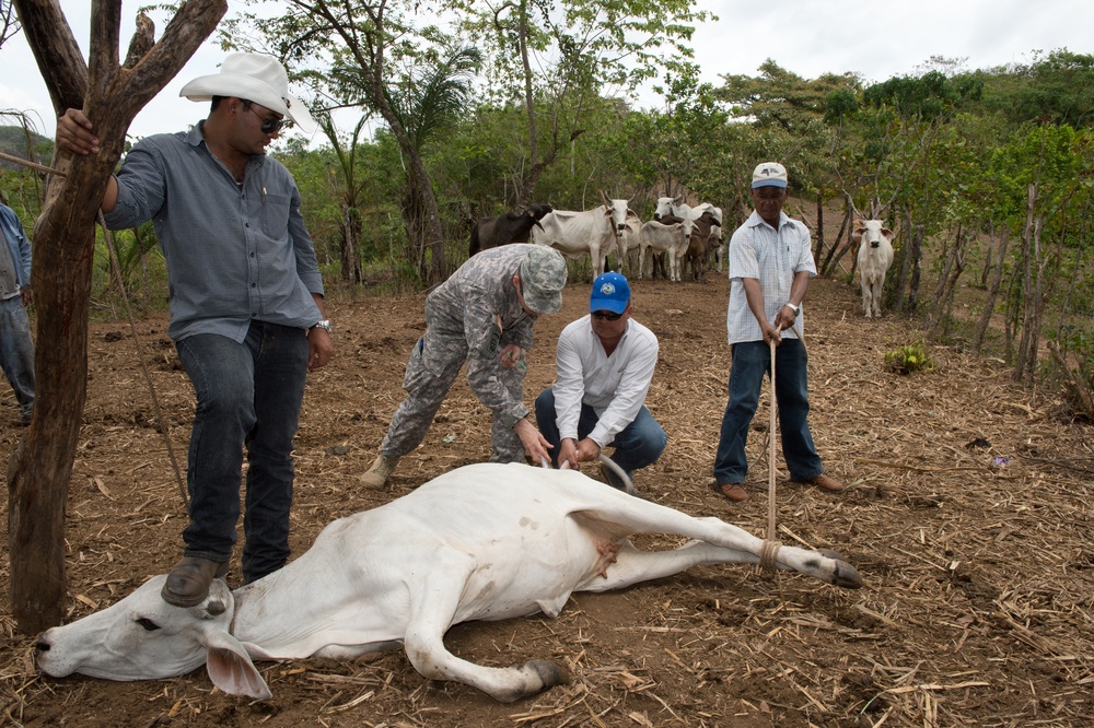 Beyond the Horizon Medical Readiness Training Exercise (BTH MEDRETE) 2013