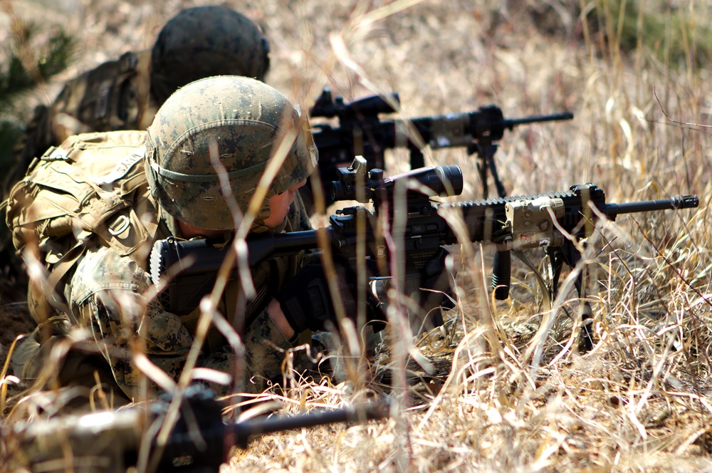U.S. Marines conduct live-fire over rough terrain