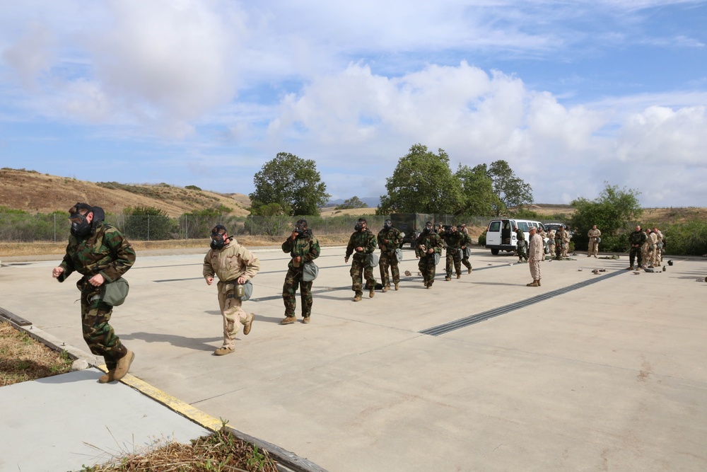 11th MEU participates in gas chamber