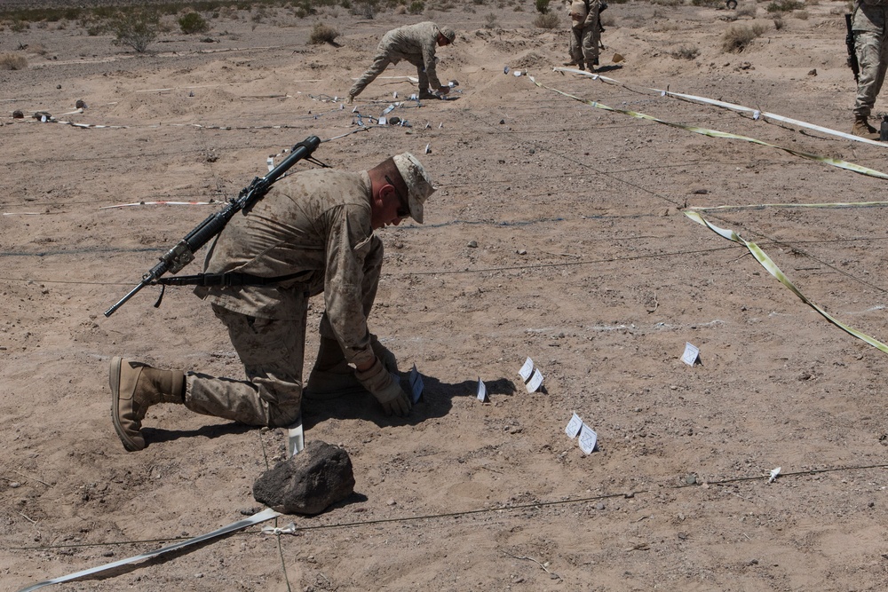 3rd LAR Exercise DESERT SCIMITAR Day 2