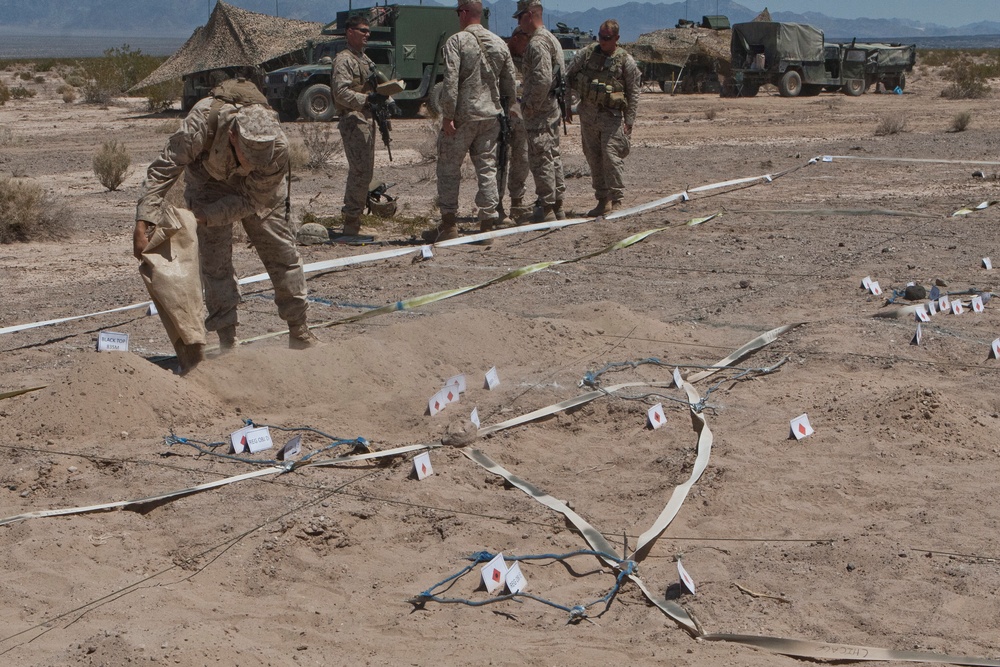 3rd LAR Exercise DESERT SCIMITAR Day 2