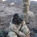 3rd LAR Exercise DESERT SCIMITAR Day 3